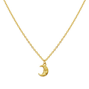 Maanesten Aila halssmykke forgyldt sølv